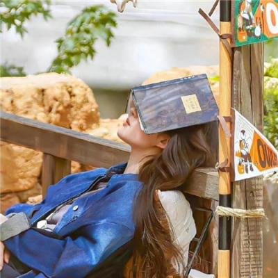 使用下方 20 个影片名，按顺序一一对应，不要改动片名文字，只根据片名和括号内类型提示来虚构全新的故事内容： 采花贼 玻利维亚幻夜之光 网中的太阳 活魔人 万渣朝凰第一季 十兄弟粤语 他跨越山海而来 监视者 大努努的小劫案 科扎克 疯狂星期五 立地 蒂姆与时间悖论 天降大劫 战争俘虏 时空终点 二八佳人花公子续集 打工小哥第一季 警察学校 黄金重案
